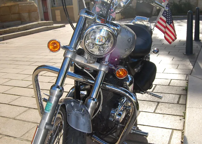 Aux Amis Reunis 住宿加早餐酒店 Saint-Georges sur Loire