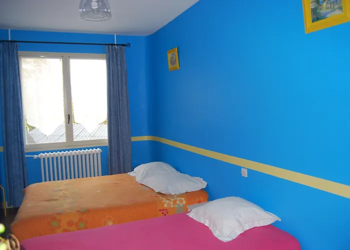 Aux Amis Reunis 住宿加早餐酒店 Saint-Georges sur Loire